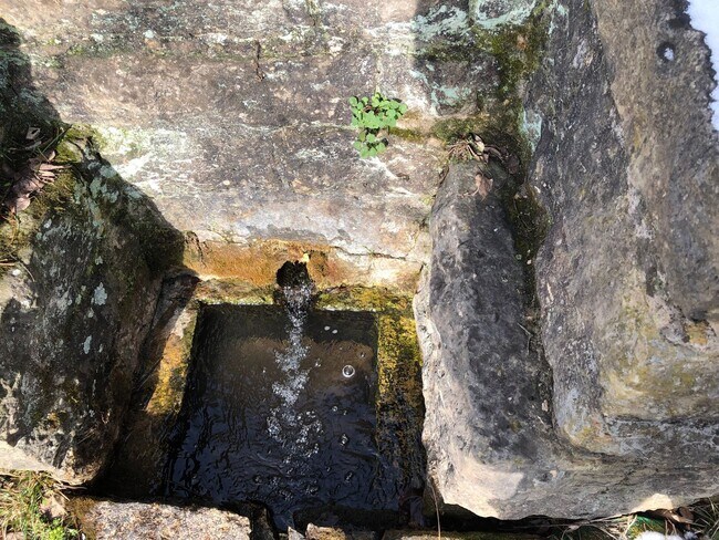 Foto del edificio - BONNE TERRE -Spring Fed Old House 10 Acres...