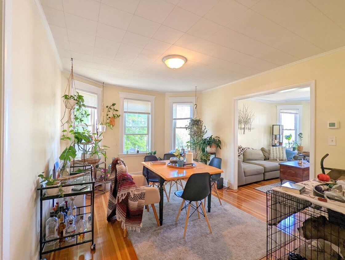 Foto principal - 7 Belknap St