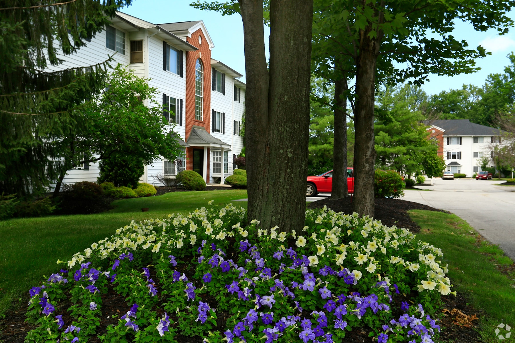 Windsor Place – photo 4