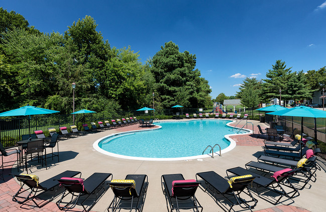 Resort Style Pool and Sundeck with Wi-Fi - Springfield Apartments