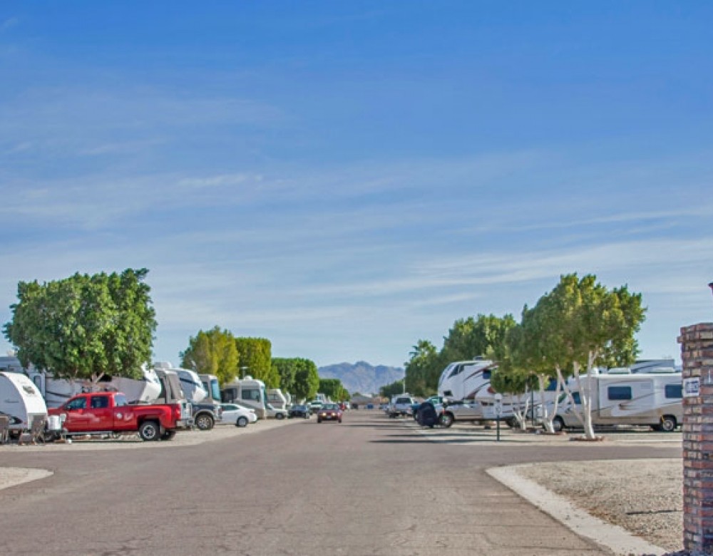 Primary Photo - Cactus Gardens RV Resort