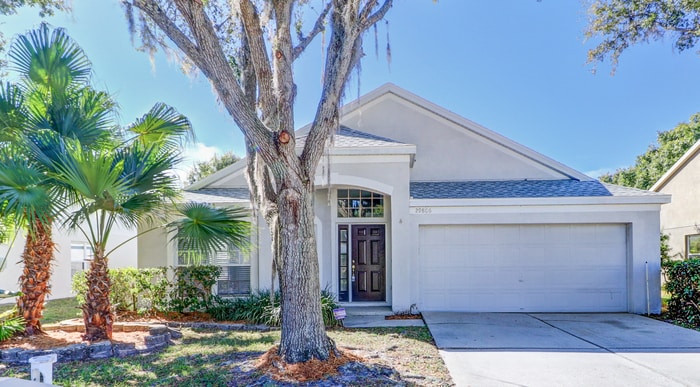 Photo - 29806 Morningmist Dr (Wesley Chapel, FL)