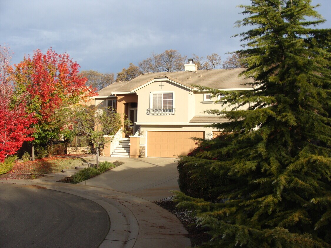 Foto principal - 117 Purple Martin Ct