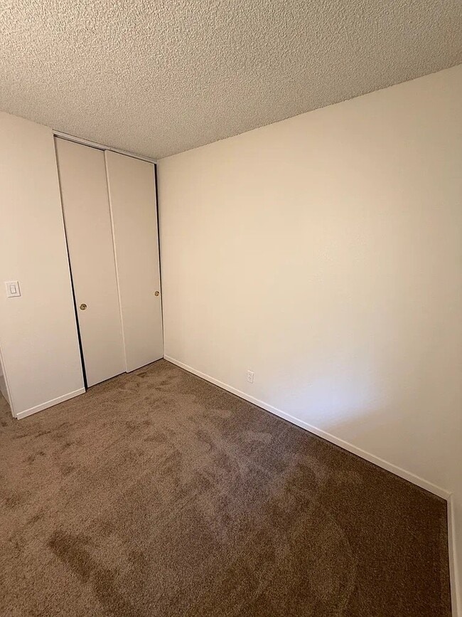 Building Photo - 1225 Elegante Ln