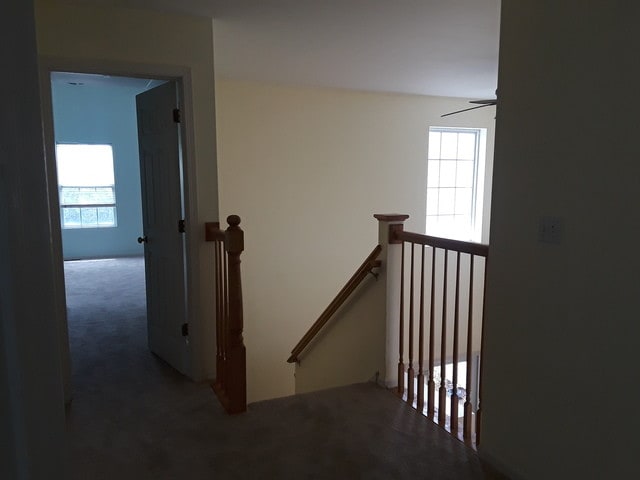 Building Photo - 2743 Sheridan Ct