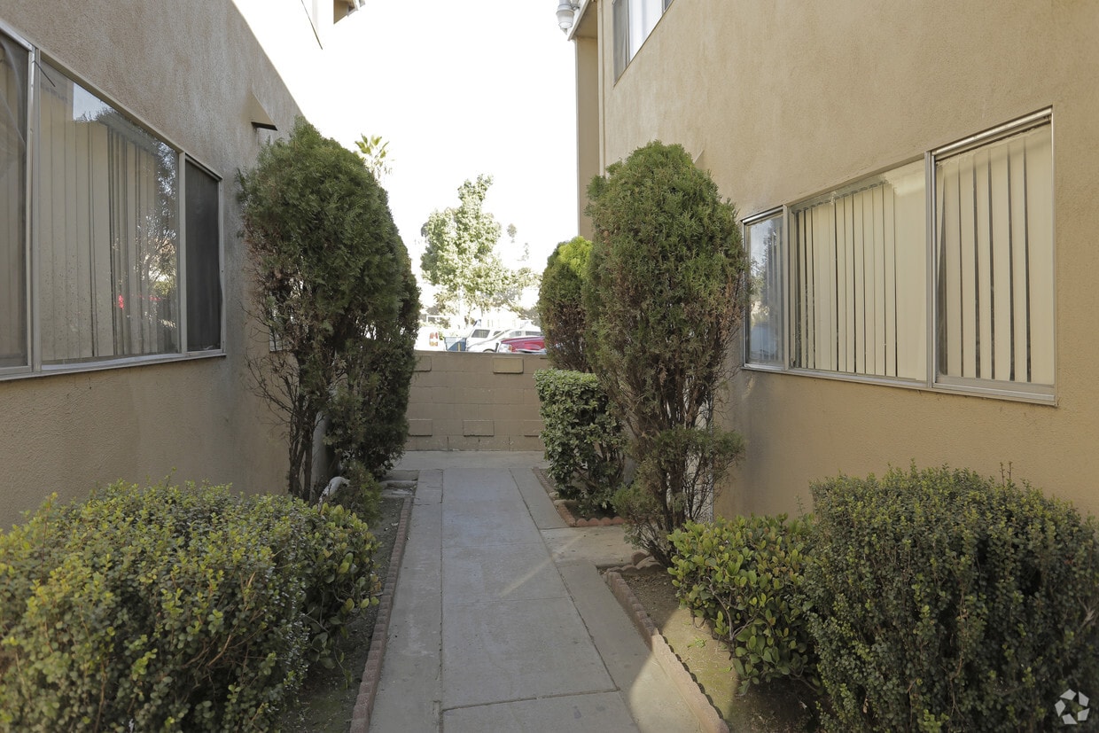 Courtyard - Palm St Apartments