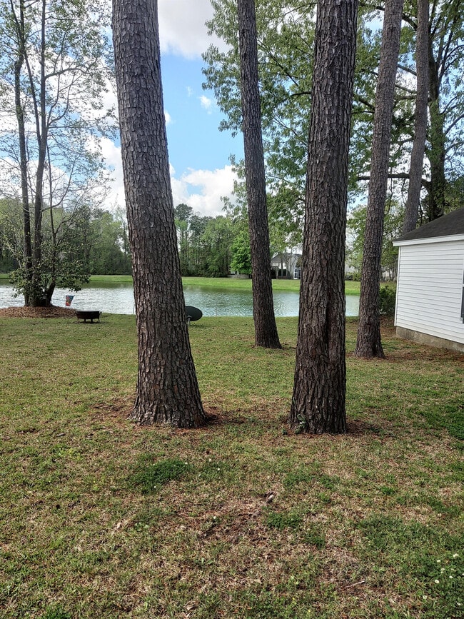 Building Photo - 8977 N Red Maple Cir