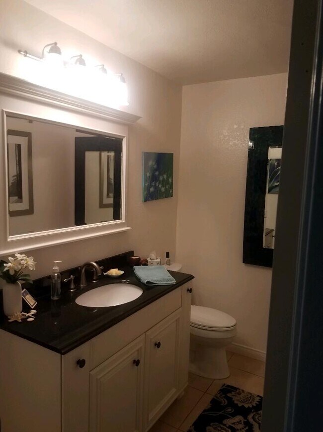 Downstair powder bathroom - 4441 Vision Dr