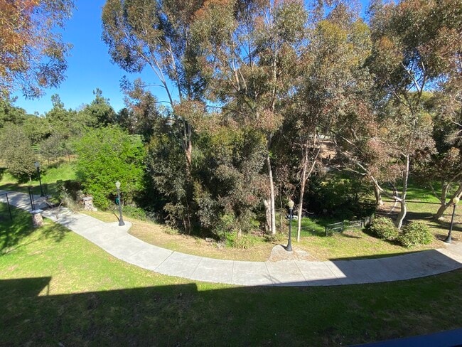 View of Park from Building - Park Place View