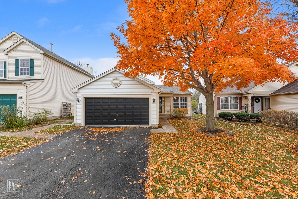 219 E Big Horn Dr, Hainesville, IL 60030 House Rental in Hainesville, IL