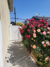 Building Photo - 91304 canoga Park