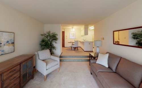 Living room - 222 Randolph Dr