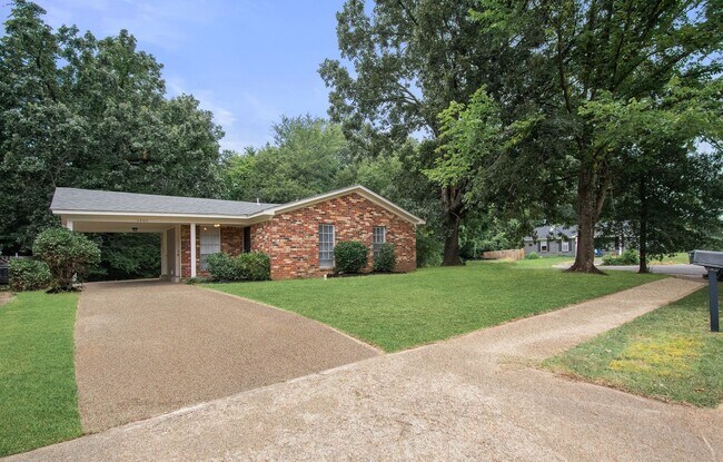 Foto del edificio - Fully Renovated 3BR/1B home in Oakhaven!