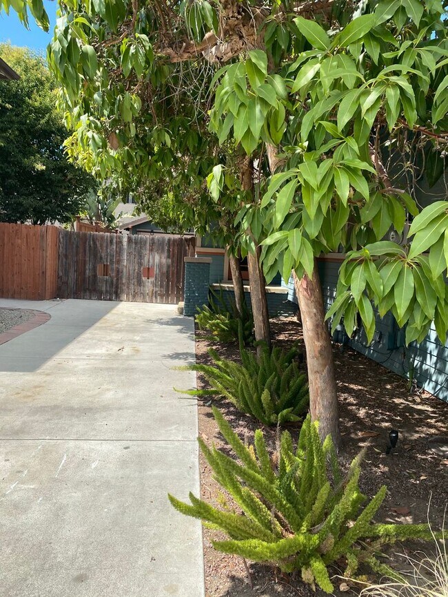 Building Photo - Charming California Bungalow in Historic R...