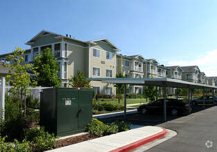 Oak View of Sonoma Hills Apartments Photo