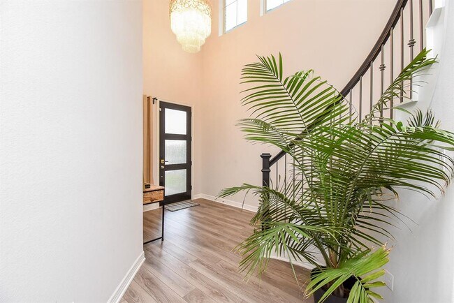 Building Photo - 6634 Albany Forest Ct
