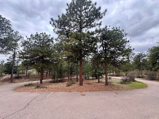 Building Photo - Beautiful home in Black Forest on 2.5 acres