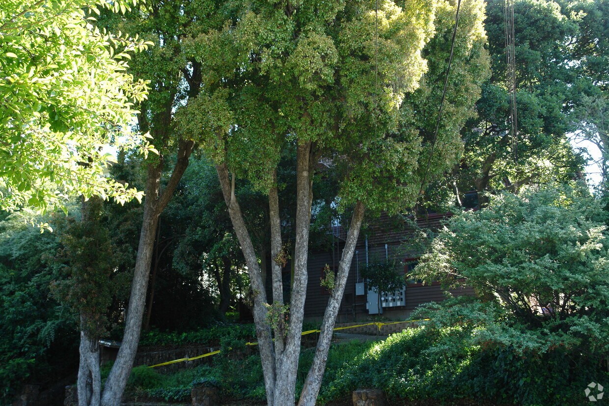 Foto del edificio - 1321 Spruce St