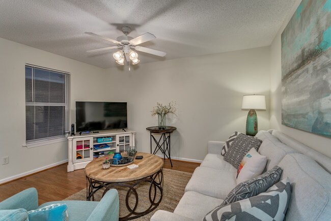 Sala de estar - 513 Frank Thomas Ave