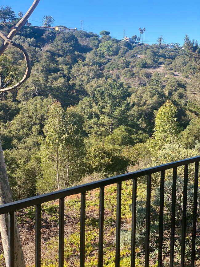 Canyon view - 1027 Miramonte Dr