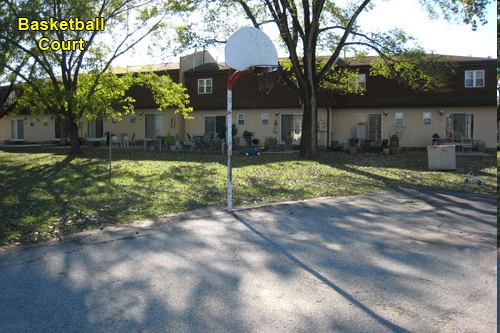 Foto del edificio - Pine Tree Townhomes