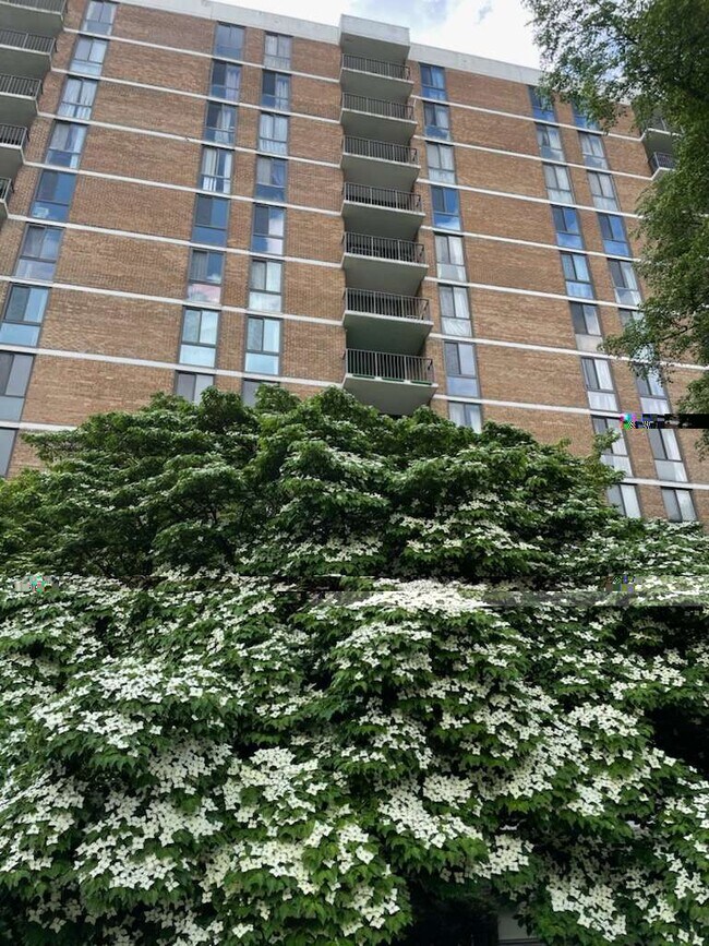 Foto del edificio - 2300 Pimmit Dr