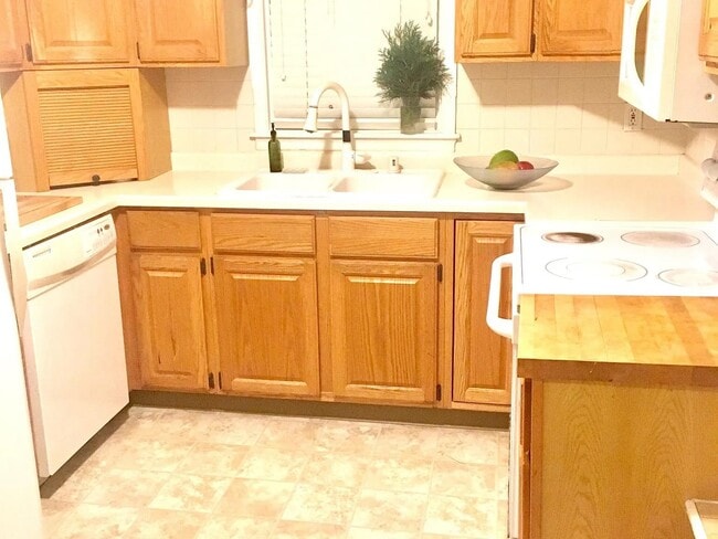 Kitchen-BOSE Dish Washer - 306 N Blackhawk Ave
