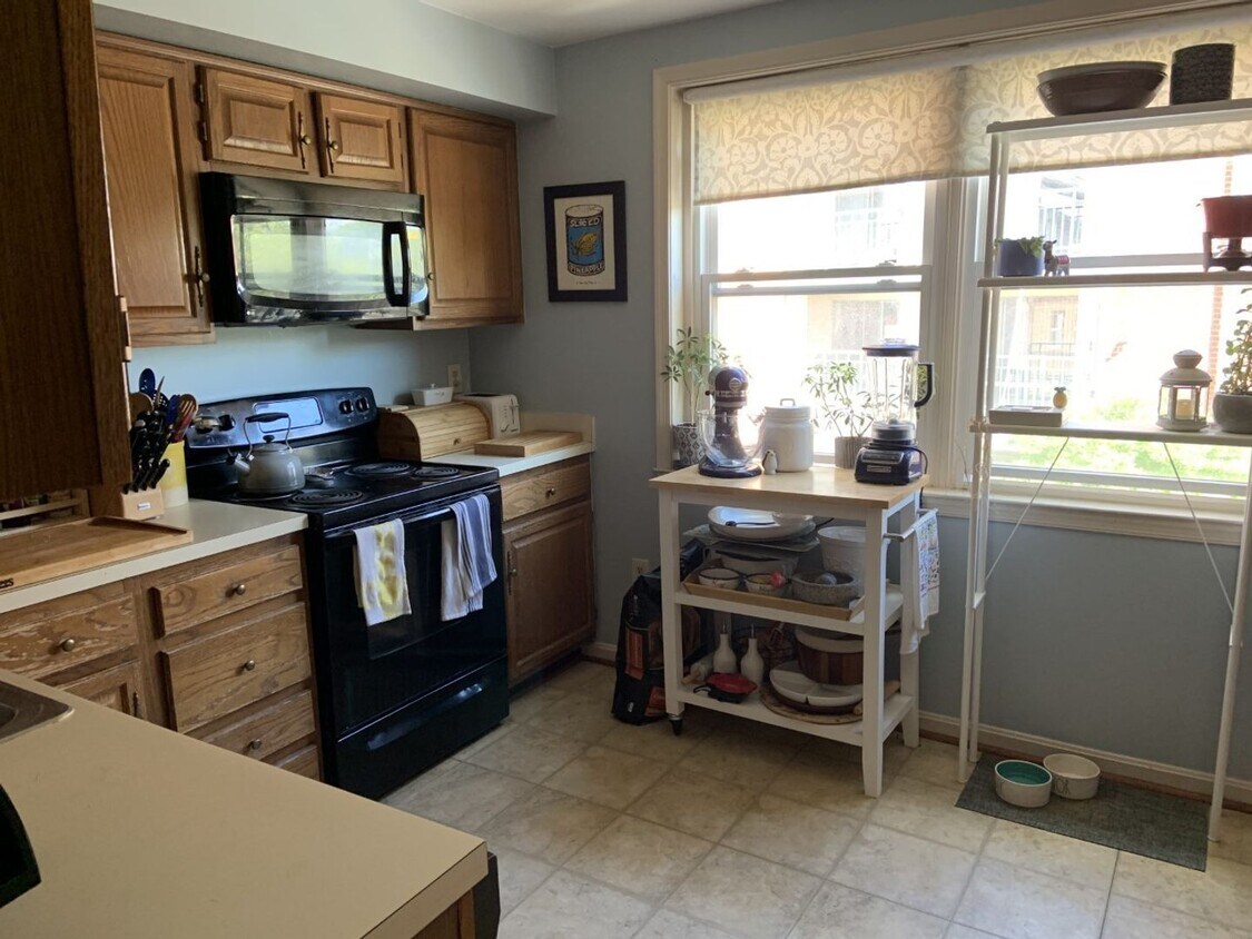 Building Photo - Bright and Cozy Two Bedroom Condo, One Blo...
