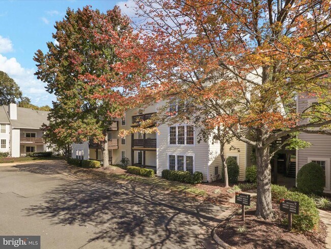 Foto del edificio - 10064 Oakton Terrace Rd