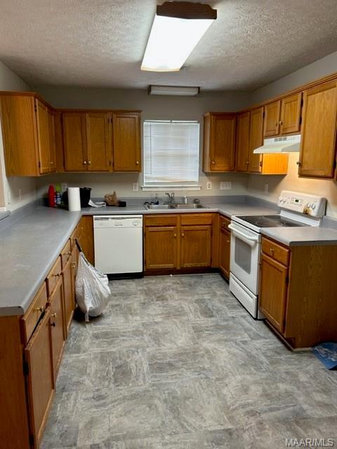 Foto del edificio - 3276 Pilgrim St