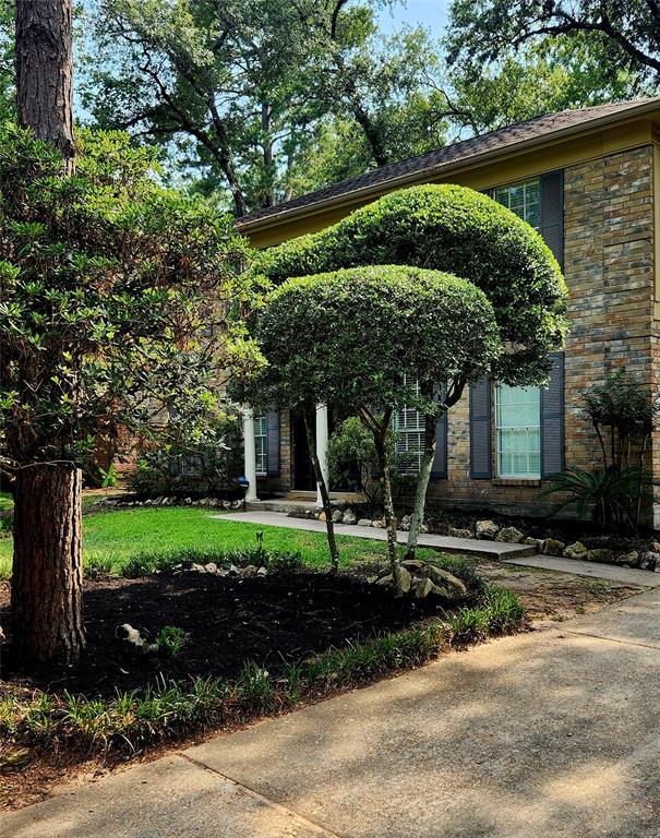 Foto del edificio - 78 Rockridge Dr