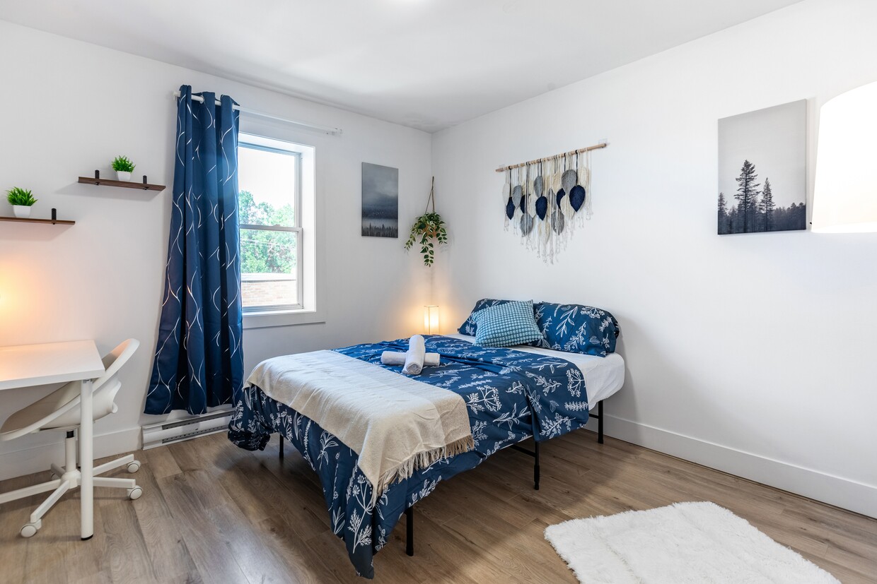 Primary Photo - Big Deluxe Room - Décarie (Males Only)