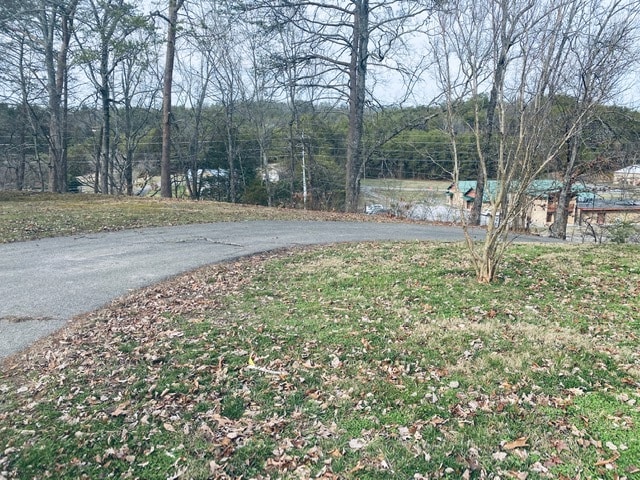 Driveway up Hill - 1169 Wears Valley Rd