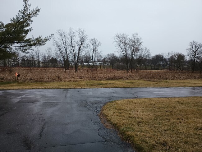 Backyard - 618 N Main St