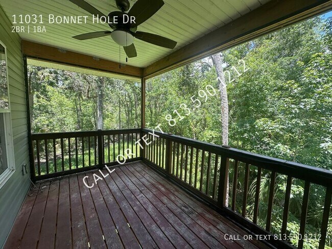 Photo - 11031 Bonnet Hole Dr House