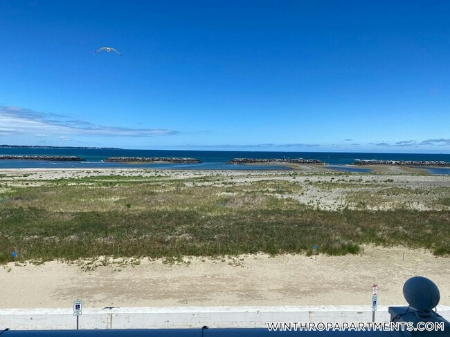 Building Photo - 87 Winthrop Shore Dr