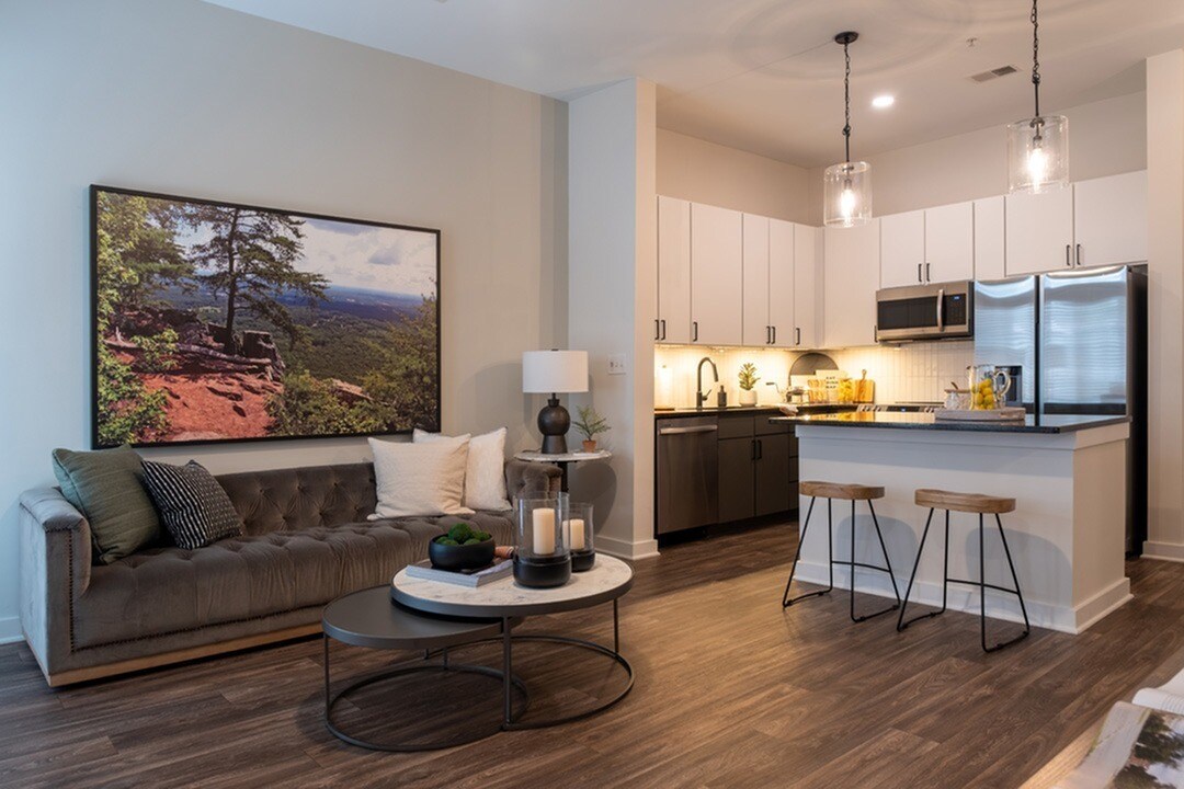 Alister Uptown 810 E 7th St Charlotte, NC Apartments for Rent in