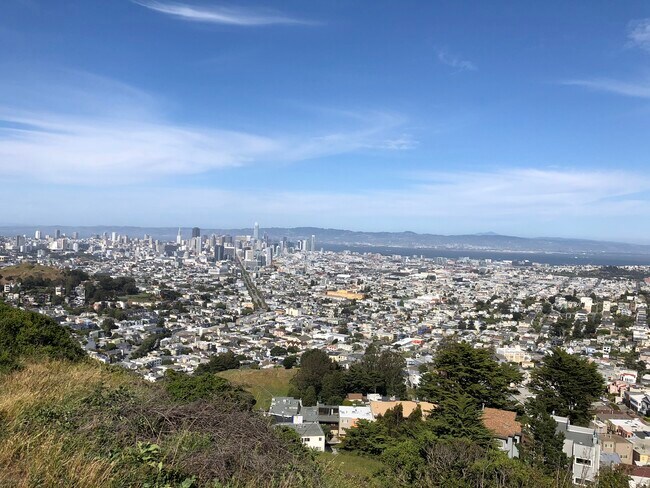 view from twin peaks, 20-30 mnt walk - 124 Dellbrook Ave
