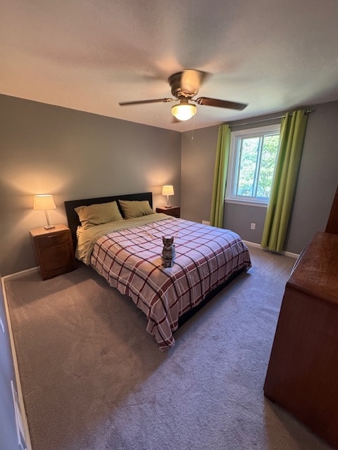 Photo - 815 Louisa St House