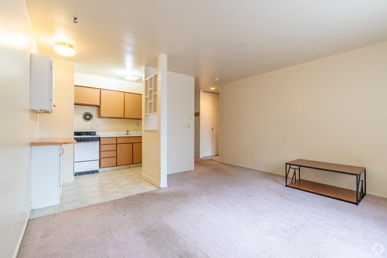 1BR, 1BA - 700SF - Large Kitchen - Living/Dining Room - 323 Packard St (Ann Arbor, MI)