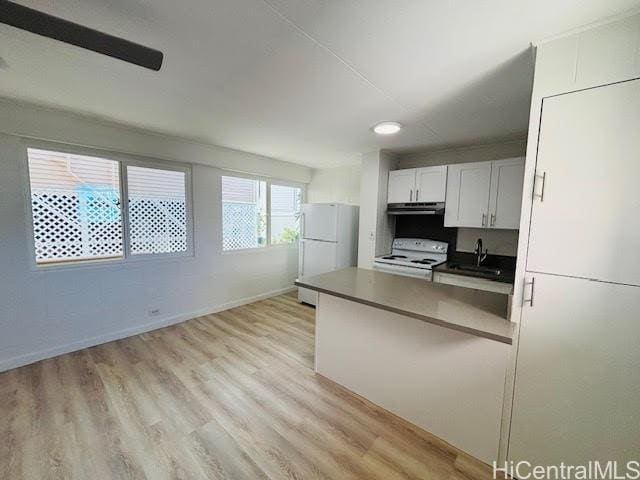 Building Photo - 1519 Alapai St