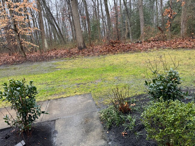 Foto del edificio - 703 Quail Rd