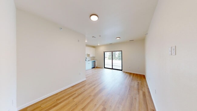 Interior Photo - The Velthuis Apartments