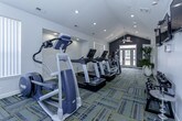 This fitness center offers a comprehensive workout environment designed to accommodate a wide range of exercise routines. The space is laid out across a single floor in a long, open format that maximizes accessibility and flow between workout zones. The flooring throughout the main cardio and functional training area features a vibrant, multi-toned patterned carpet tile, adding a modern aesthetic while providing cushioning underfoot. Recessed lighting illuminates the space evenly, complemented by natural light filtering in through vertical-blind-covered windows along the walls.

The cardio zone is well-stocked with multiple treadmills, elliptical trainers, a stair climber, and a stationary spin bike, all arranged to allow comfortable spacing between users. Wall-mounted flat-screen televisions are positioned for easy viewing during workouts. A dedicated free weights area features a fully stocked dumbbell rack with a wide range of weights, a barbell with weight plates, and workout benches — all set within a distinctly styled nook finished in a dark accent wall with flanking mirrors that amplify the sense of space. Additional equipment includes kettlebell racks and a cable/multi-use strength machine. Decorative greenery adds a welcoming touch, and an adjoining area provides access to additional amenities.