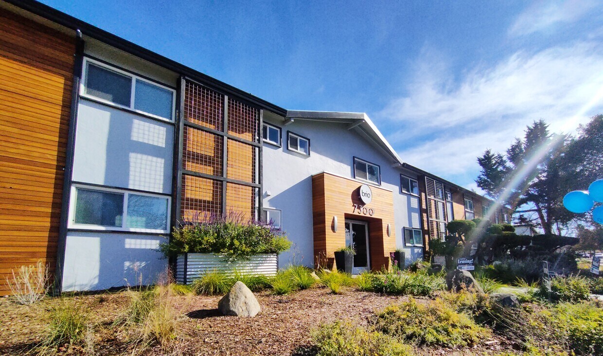 Brio Apartments Apartments at 7300 Adrian Dr Rohnert Park, CA