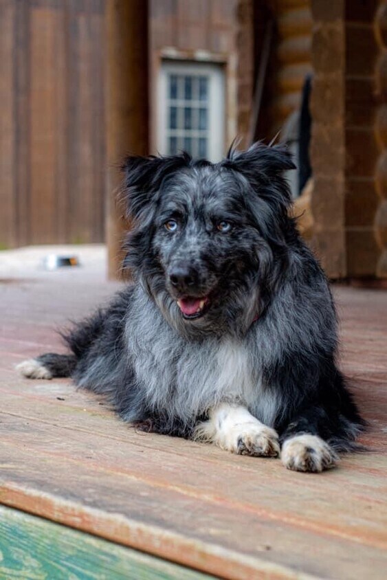 Foto del edificio - 3251 Bayvue Blvd