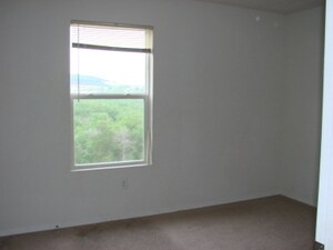 Building Photo - 3 Bedroom 2 Bath Apartment in Branson, MO