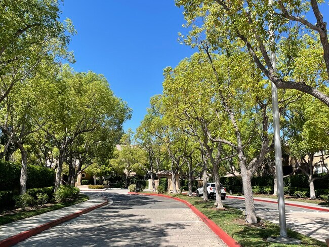 Entrance gated lined with trees - 19431 Rue De Valore Rue