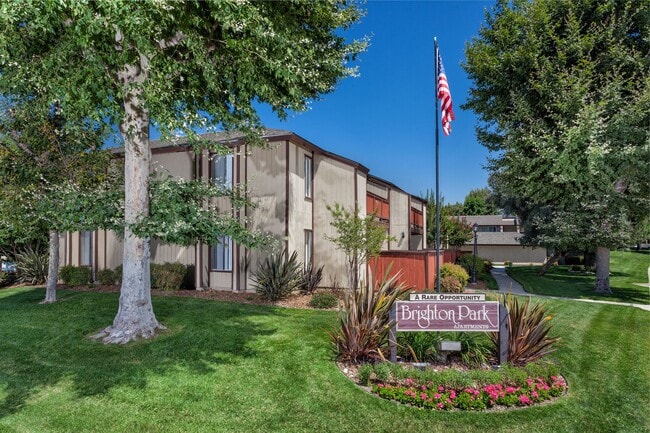 Building Photo - Brighton Park Apartments