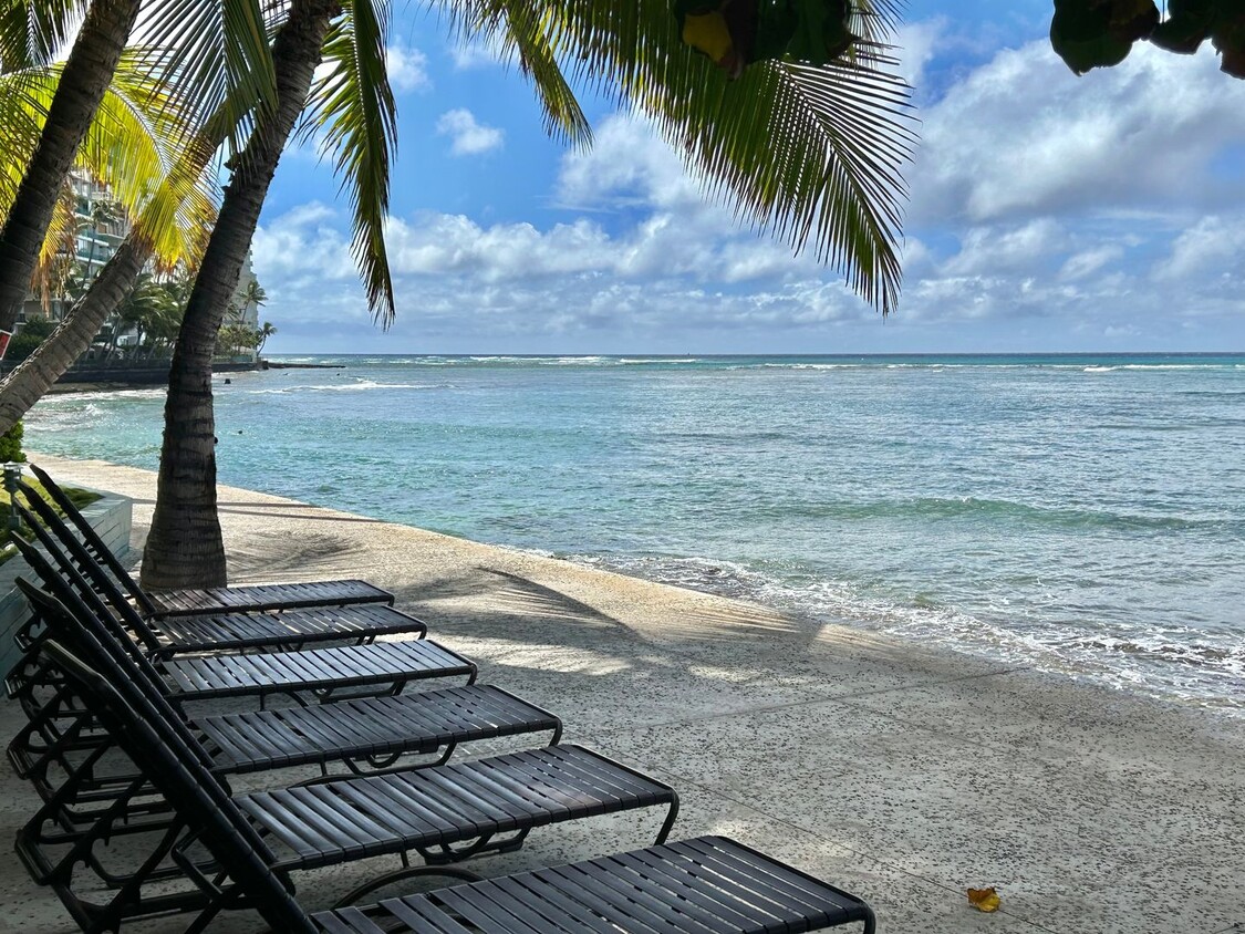 Primary Photo - Tropic Seas one bdrm., one bath apartment,...